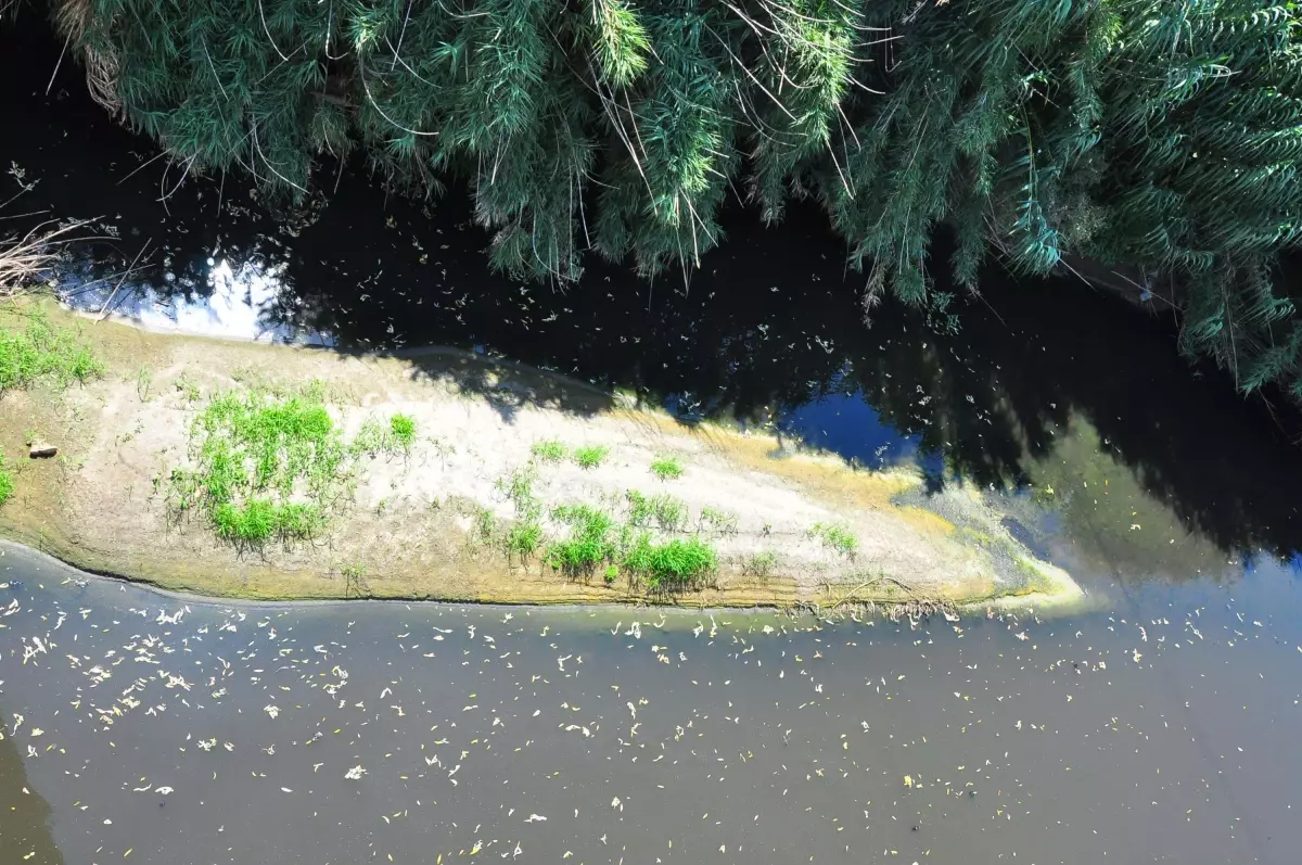 Gediz Nehri’nin Kirliliği İçin Acil Çözüm Çağrısı